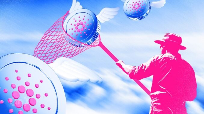 Cardano Price Tests Bear Market Support