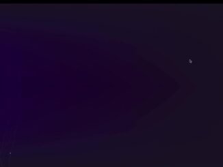 Common Crypto Mistakes to Avoid | Risk Management for Beginners 📈