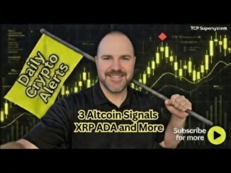 Crypto Daily Alerts - XRP ADA and Helium ALTCOINS