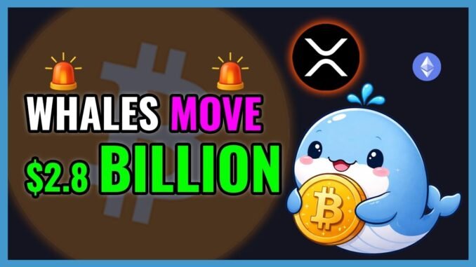 Crypto Whales Just Moved $2.8 BILLION!🚨WHALE ALERT