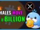 Crypto Whales Just Moved $2.8 BILLION!🚨WHALE ALERT