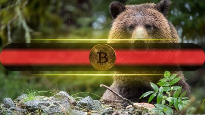 Current Bear Market Performance Worse Than 2022: Analysts