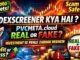 DEXSCREENER Kya Hai ?‼️ Pvcmeta.cloud Scam Hai ?‼️Real or Fake ?Watch Till End ‼️