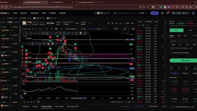 Daily Top Dex Screener Coins Analysis