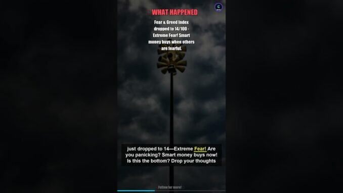 🔴 EXTREME FEAR! Index at 14 - LIVE UPDATE!