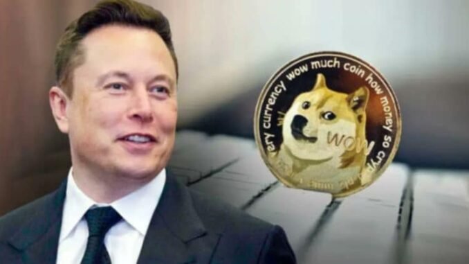 Elon Musk says SpaceX may put Dogecoin on the moon next year