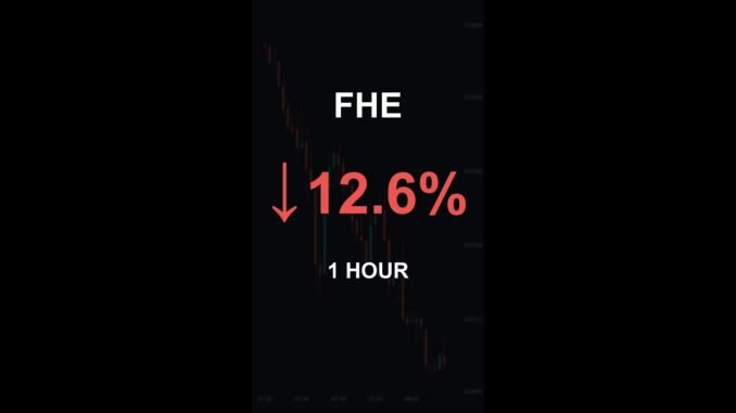 FHE is down 12.6% in 1 hour!⚡February 12, 2026 | #crypto #altcoins #shorts