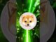 First AI Dog Crypto Coin KIBSHI