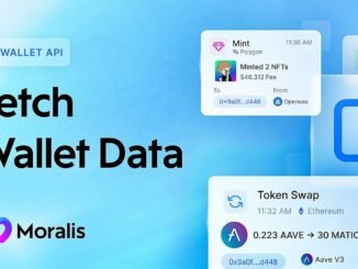 Get Cross-Chain Crypto Wallet Data in 1 API Call - Moralis Wallet API