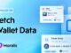 Get Cross-Chain Crypto Wallet Data in 1 API Call - Moralis Wallet API