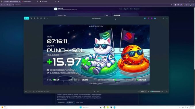 How To Find The Corred Liqudity Pool on Meteora for Solana Memecoins