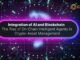 Integration of AI and Blockchain, The Rise of On Chain Intelligent Agents in Crypto Asset Management