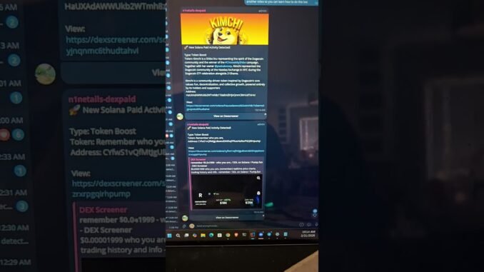 N1netails Telegram dex paid detection bot #n1netails #dexpaid #pumpfun