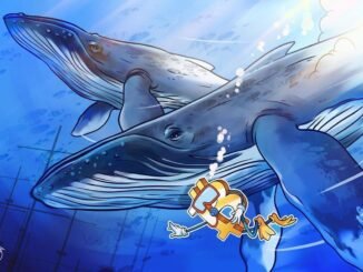"New" Bitcoin Whale Losses Deepen as Binance Inflows Rise