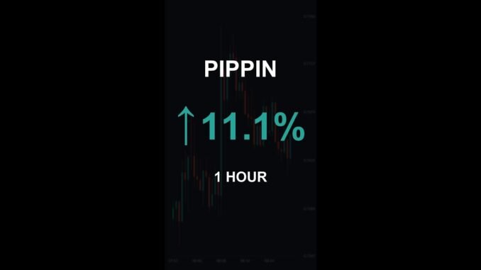 PIPPIN is up 11.1% in 1 hour!⚡February 26, 2026 | #crypto #altcoins #shorts