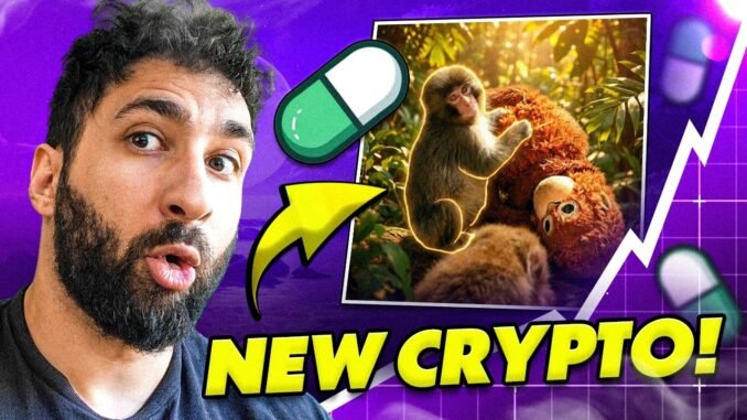 Pump Fun Gems on Solana: Is $PUNCH the Next Emotional Meme Breakout?