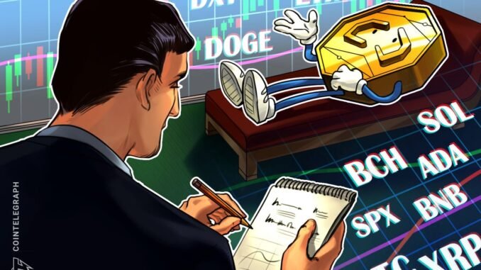 Relief Rally Leads To Green Bitcoin, Altcoin Charts, But Will It Last?