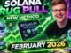 Rug Pull : How to Rug Pull a Meme Coin on Solana Live Results feb 2026