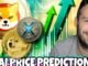 Shiba Inu Coin | AI Predicts The Price Of SHIB, XRP And PEPE By The End Of The Year!