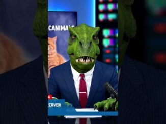 Sora AI News: People saying that Volcanimals on @SprunkiPyramixedthysto4843 are brainrots