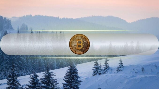 This Crypto Winter Much Healthier Than Previous Cycles: Bitwise CIO This Crypto Winter Much Healthier Than Previous Cycles: Bitwise CIO