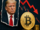 Trump Bitcoin Crypto