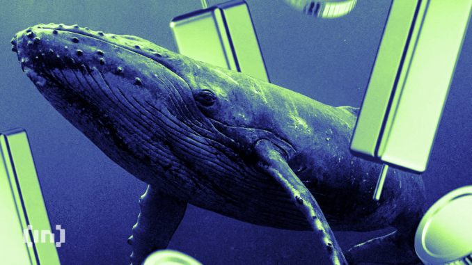 White Whale Meme Coin Rallies 180% After Massive Crash, How? White Whale Meme Coin Rallies 180% After Massive Crash, How?