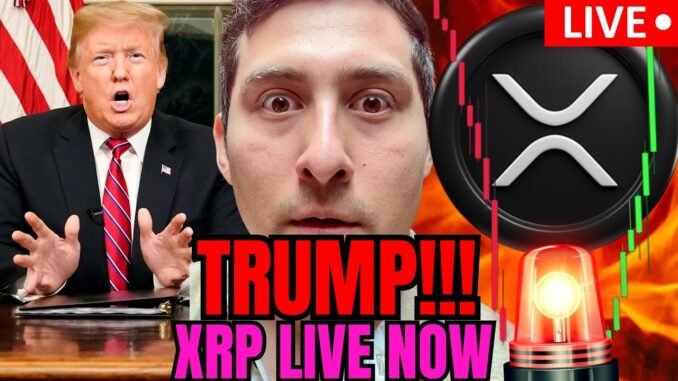 XRP PRICE WATCH! TRUMP NEWS WINNING LIVE!!