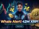 XRP Whales Stack 42M Coins Quietly Near $1.70 Critical Level (68 characters)