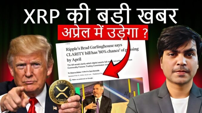XRP अगले महीने मचा सकता है धूम ? | xrp news today, xrp coin | XRP के ceo का बड़ा दावा