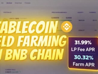 Yield Farming Stablecoins On BNB Chain (Pancakeswap)