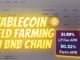 Yield Farming Stablecoins On BNB Chain (Pancakeswap)