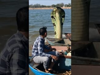 ai tools | artificial intelligence | ai news | ai update | ai technology | ai future