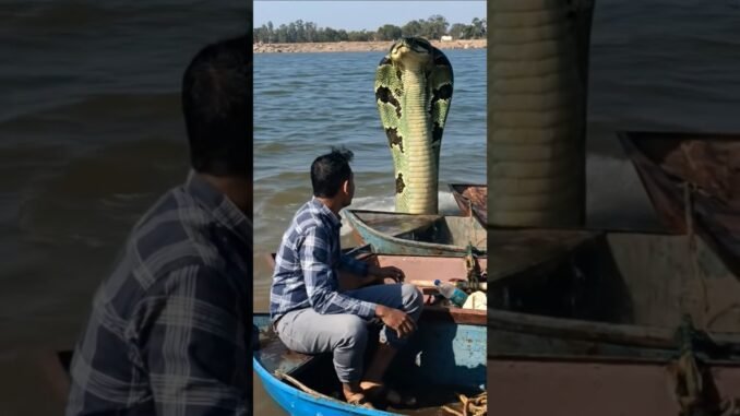 ai tools | artificial intelligence | ai news | ai update | ai technology | ai future