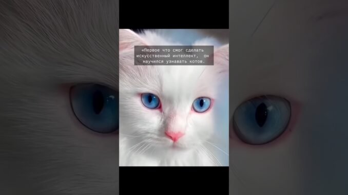 #ai #virtualreality #crypto #vzf Google Brain, 2012 10 млн видео с YouTube Без подсказок. Нашёл кота