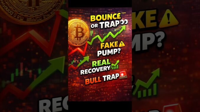 #bitcoin#binance#shorts#viral#trending#today#qmiir#liriklagu#lyrics#phonk#fyp#funk#music#itsmeissie