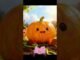 #funnyvideo #crypto #ai #cat #cute #kindness cutieee pumpkin 🍅🍑🐽🐽
