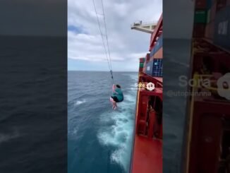 guindaste #chatgpt #automobile #flow #funny #animals #gemini #cat #swimming #baby #cute