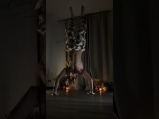 lets do it .. #calisthenics #gym #motivation #youtubeshorts #beginners #motivation