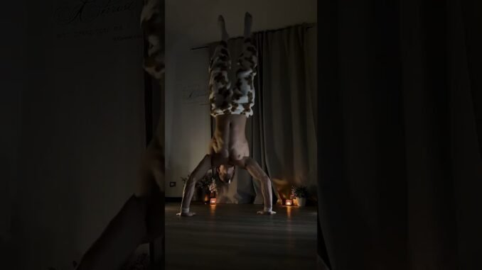 lets do it .. #calisthenics #gym #motivation #youtubeshorts #beginners #motivation