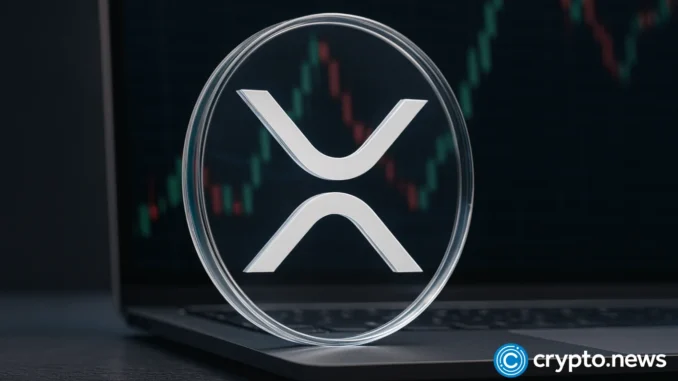 start of a rally or a dead-cat bounce? start of a rally or a dead-cat bounce?