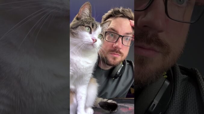 Как заработать $250 на анимации логотипа для Web3 | usatiuk