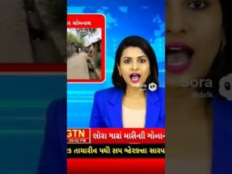 ગીર સોમનાથના ગામમાં નરસિંહની ઘૂસણખોરી, બાળકો ખતરામાં #ai #gujarat #news #lion