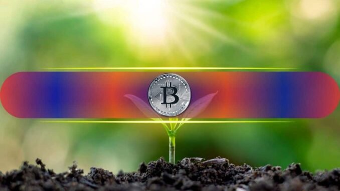 5 Key On-Chain Signals to Watch With Bitcoin at Fair 5 Key On-Chain Signals to Watch With Bitcoin at Fair Value