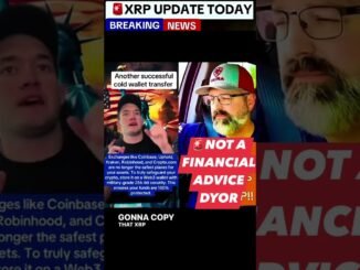 🚀 A Successful XRP Transfer to The Web3 backed Wallet!