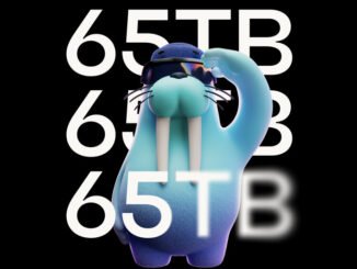 Allium Brings 65TB of Data from Bitcoin, Ethereum, Sui and More to Walrus