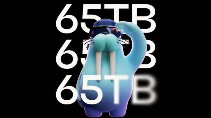 Allium Brings 65TB of Data from Bitcoin, Ethereum, Sui and More to Walrus