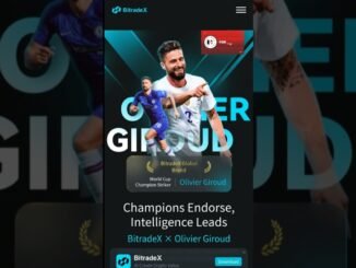 BITRADEX.AI Review: Unable to Withdraw?