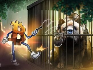 Bitcoin Liquidity Analysis Eyes $65,000 Support Retest to Come