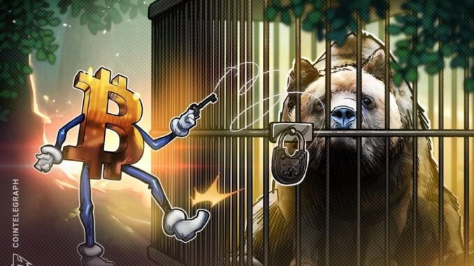 Bitcoin Liquidity Analysis Eyes $65,000 Support Retest to Come